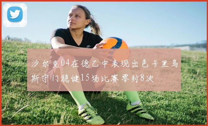 沙尔克04在德乙中表现出色卡里乌斯守门稳健15场比赛零封8次