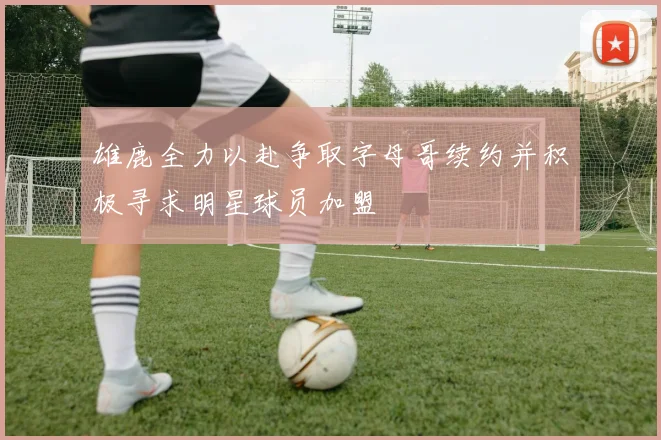 雄鹿全力以赴争取字母哥续约并积极寻求明星球员加盟