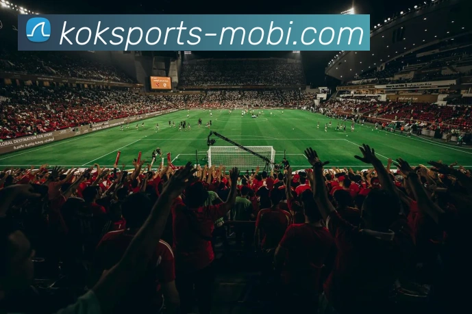 KOK体育平台生态图